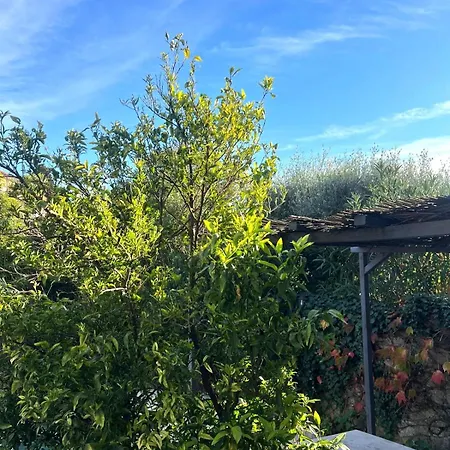 بيت للعطل Paisible Avec Wifi, Piscine Et Jardin تولون