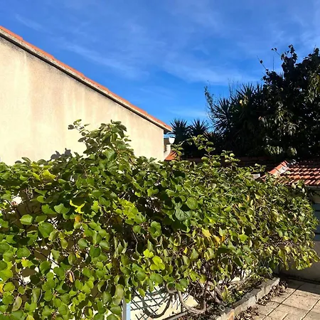 Paisible Avec Wifi, Piscine Et Jardin Toulon